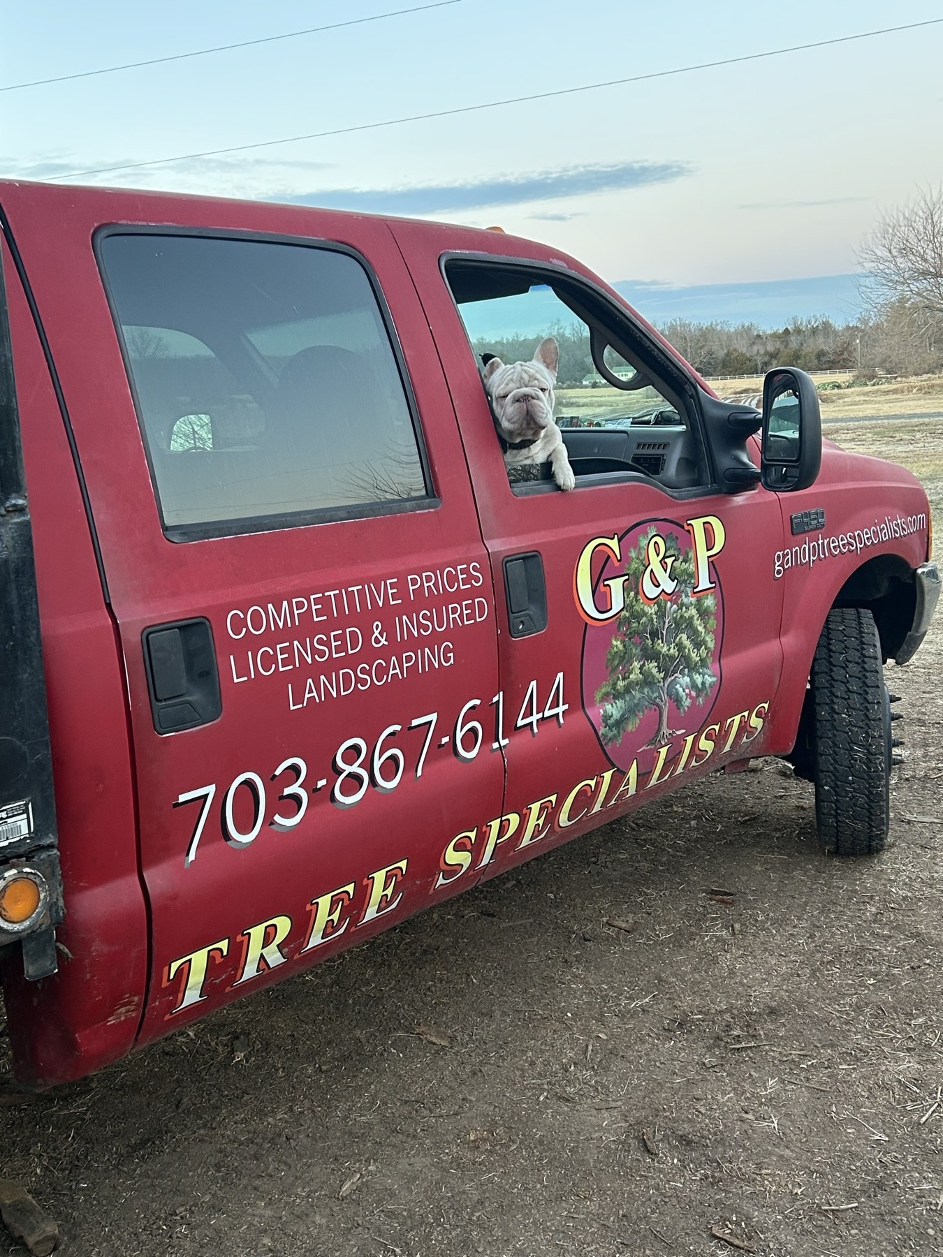 G&P Tree Specialists branded red work truck with phone number and services listed on the side