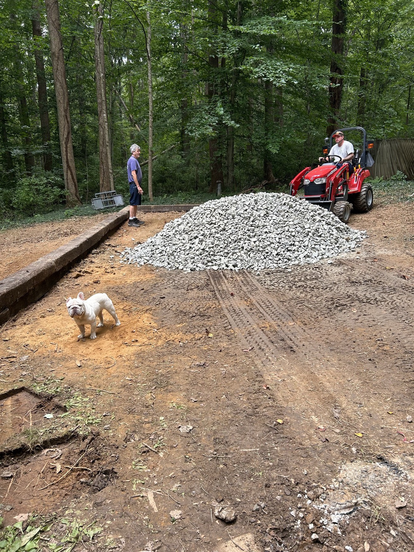 Pile of fresh wood chips from on-site chipping after job cleanup