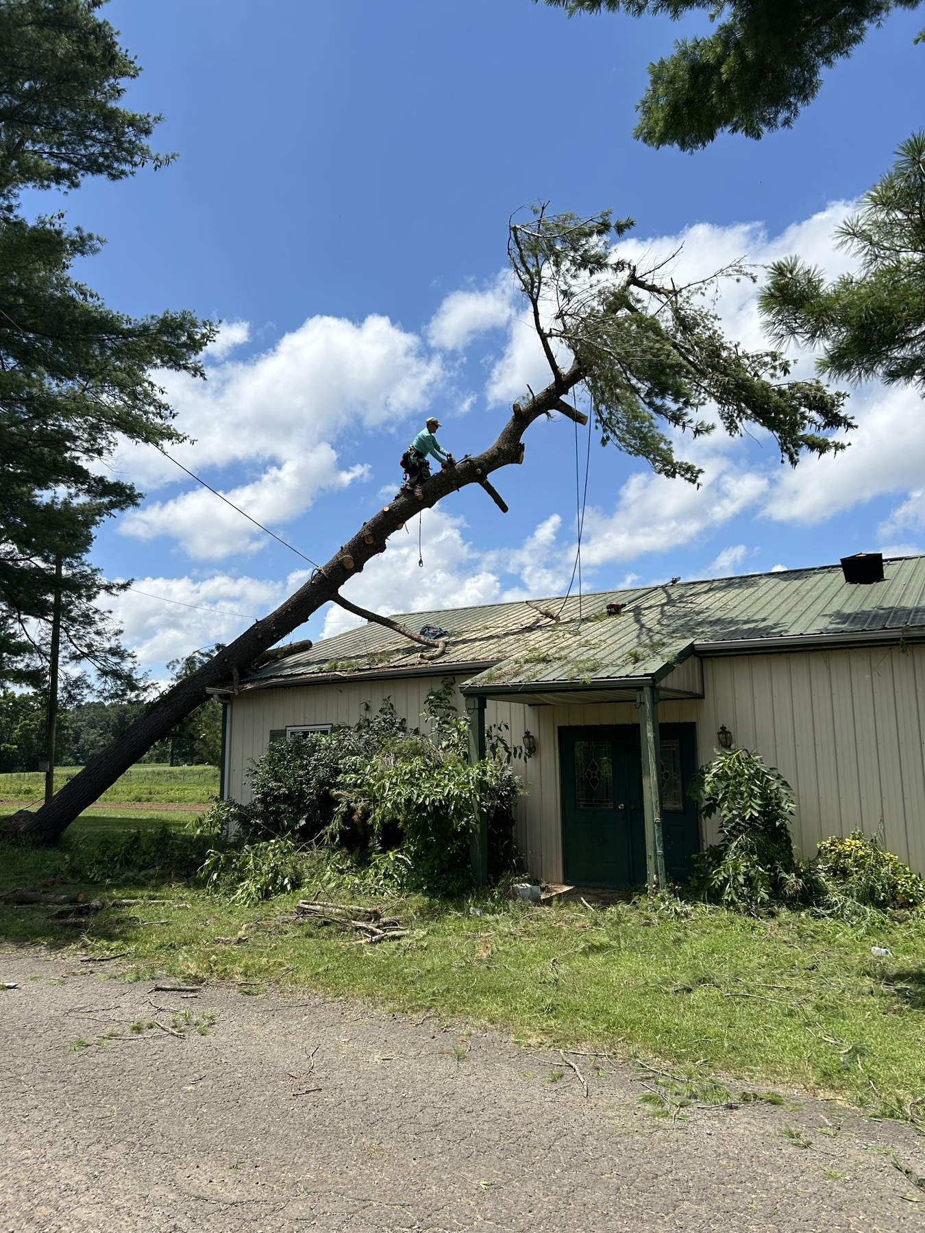 G&P crew rigging a tree down next to a mobile home